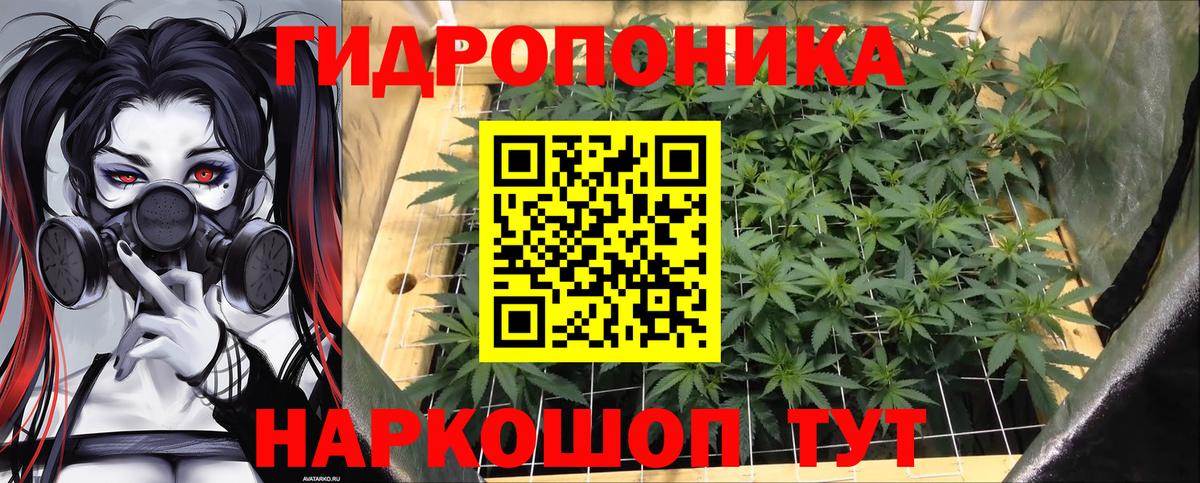 Бошки Шишки OG Kush  МАРИХУАНА гибрид  Бошки марихуана Amnesia  Вход с VPN  Полысаево  Конопля AK-47 